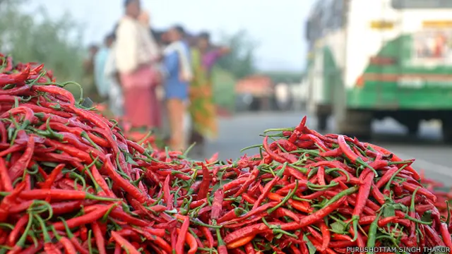 मिर्च तोड़ने वाले खेतिहर मज़दूर