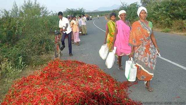 खेतिहर मज़दूर
