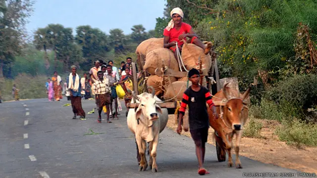 मिर्च तोड़ने वाले खेतिहर मज़दूर