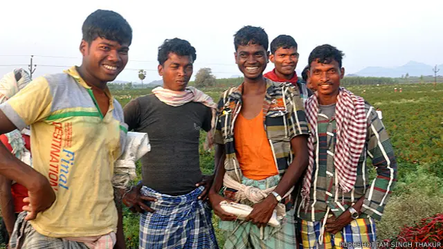 मिर्ची तोड़ने वाले खेतिहर मज़दूर