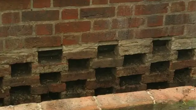 Ese calor viaja por estos huecos de ventilación y entra en la cámara de crecimiento interna, produciendo el ambiente cálido y húmedo que las piñas necesitan para crecer.