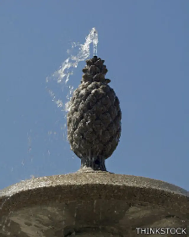 Piña en fuente