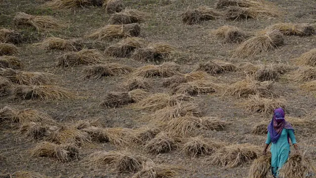 मौसम, किसान, महिला