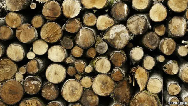 3۔ انٹرنیٹ پر موجود تمام مواد کو پرنٹ کرنے کے لیے تقریباً اسی لاکھ درخت درکار ہوسکتے ہیں