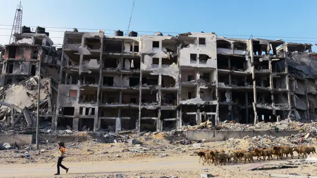 رپورٹ کے مطابق فلسطین میں 2251 افراد مارے گئے جن میں سے 1462 عام شہری تھے