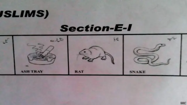 بلدیاتی انتخابات میں امیدواروں کو دیئے گئے عجیب و غریب انتخابی نشانات پر بھی شدید تنقید کی گئی تھی