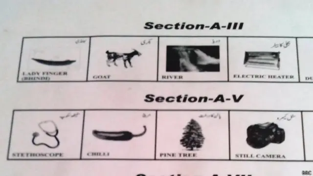  بلدیاتی امیدوار اس بات پر بھی پریشان ہیں کہ وہ مہم کے دوران عوام کو انتخابی نشان کے حوالے سے کیا پیغام دے پائیں گے