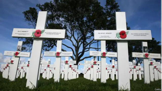 У Європі червоні маки стали символами скорботи за жертвами війни ще після Першої світової