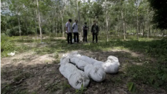 ဆွန်ခလ ပြည်နယ်က ရာဘာတောအုပ်ထဲမှာ အလောင်း ၆လောင်း ထပ်တွေ့