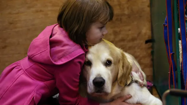 بچے دل کی بات پالتو جانوروں سے زیادہ آسانی سے کہہ دیتے ہیں