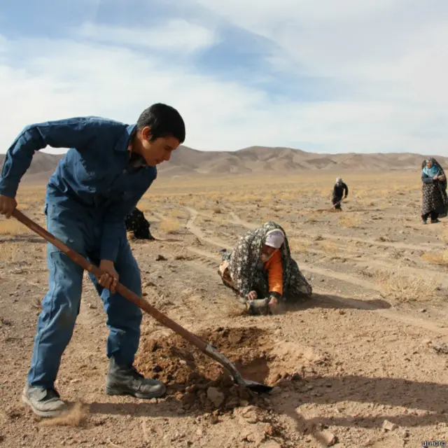 سازمان ملل به کمک جوامع محلی طرح ترسیب را برای مقابله با رشد بیابانهای ایران آغاز کرده است