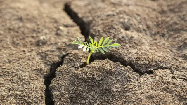 تشير أبحاث البنك الدولي إلى أن عشرات الملايين في افريقيا سيصبحون في فقر مدقع إذا ارتفعت درجات الحرارة في العالم