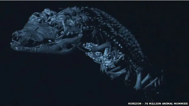 Скан мумії крокодила