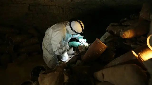 Sebanyak 30 kuburan besar yang terisi penuh dengan jutaan mumi telah ditemukan di Mesir. Setiap makam didedikasikan khusus untuk sebuah hewan, seperti anjing, kucing, buaya, ibis dan monyet.