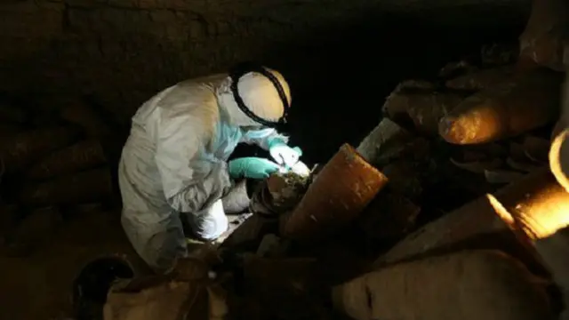 سرداب الموتى هذا يحتوي على حوالي مليوني من أفراد طائر أبو منجل محنطة 