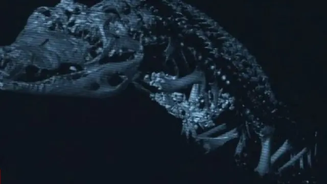 فريق الخبراء فحص هذه المومياء لتمساح من بين مئات المومياوات التي خضعت للدراسة