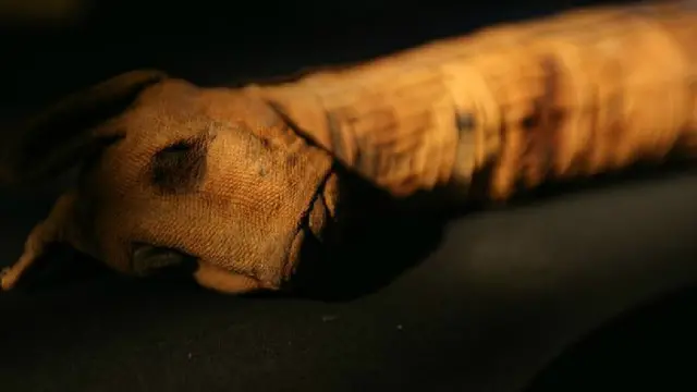 الباحثون اكتشفوا أن هذه المومياء لأحد القطط لم تكن كاملة 