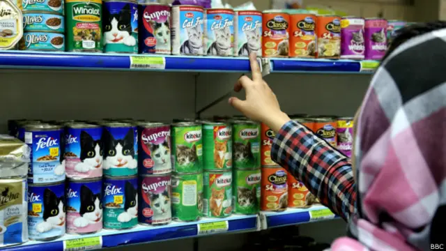 خرج ماهانه گربه غزل حدود چهل دلار است
