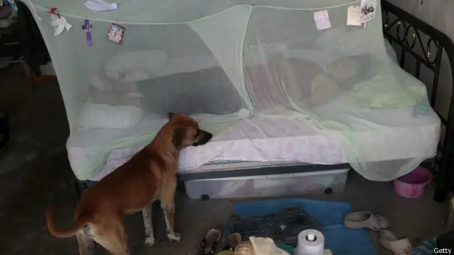 Una de las medidas para prevenirla es dormir con mosquitera.