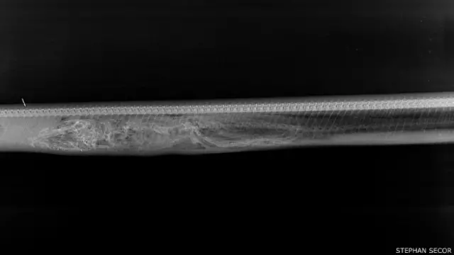 Aspecto del segundo día de digestión de la pitón.