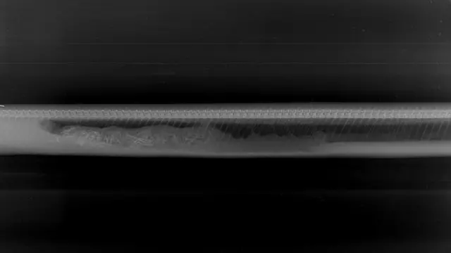 Aspecto de la serpiente en el cuarto día.