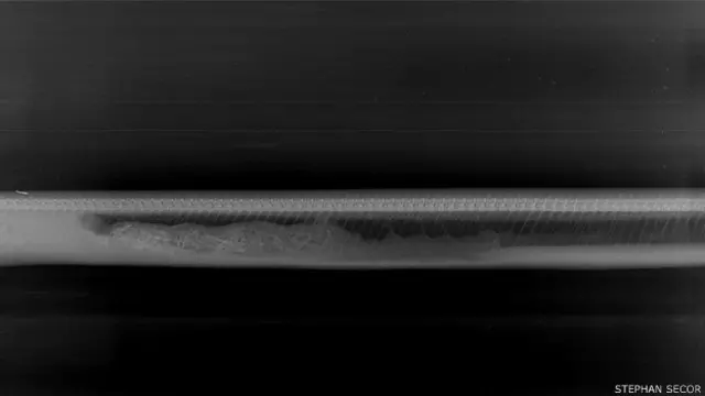 Aspecto de la serpiente en el quinto día.