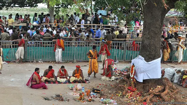 जगन्नाथ का पेड़