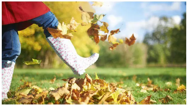 توصل العلماء إلى أن ربع الجينات في الجسم البشري تتأثر بتغيير الفصول