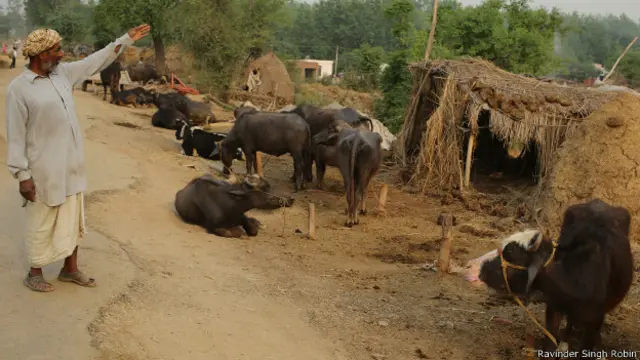 पंजाब, पाकिस्तान में फंसा बालक