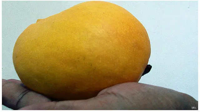 گذشتہ برس بھی پاکستانی وزیراعظم نے بھارتی ہم منصب کو آم بھجوائے تھے