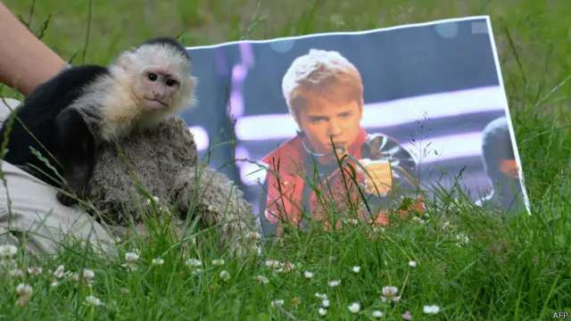 Бывшая обезьянка Джастина Бибера