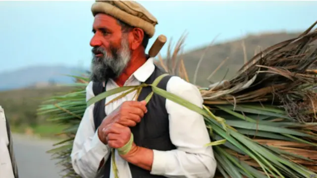 نارینه یې له غرونو په شا او خرونو کورونو ته مزرې راوړي.