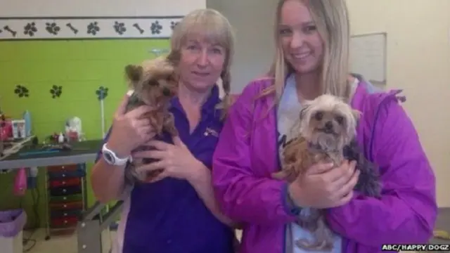 Bakım evindekiler köpeklerin resmini çekip paylaşınca olanlar oldu.