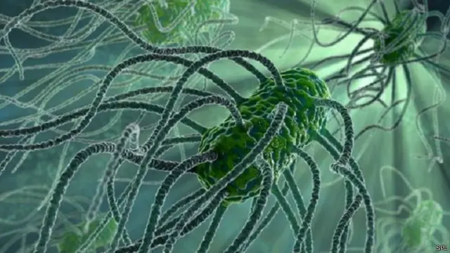 بعض البكتريا أصبحت تقاوم المضادات الحيوية القوية