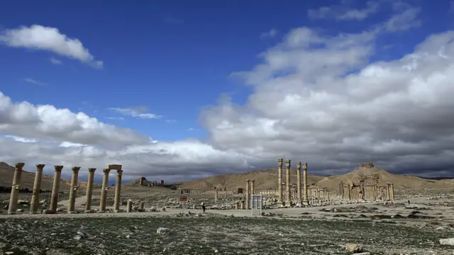 اس قدیم دور میں ایسے شہر کا کنٹرول اشرافیہ کے ہاتھوں میں ہوتا تھا لیکن پامیرا کی حفاظت کی ذمہ داری سودا گر طبقے کے پاس تھی۔