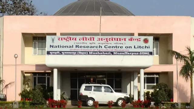 नेशनल रीसर्च सेंटर फ़ॉर लीची