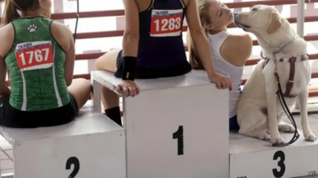 Шарлотта Браун 