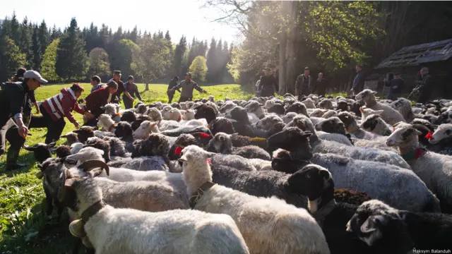 Максим Баландюх