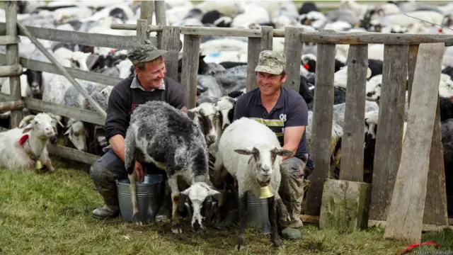 Максим Баландюх