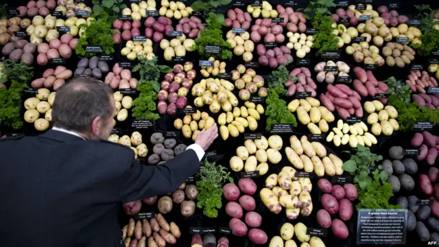 اس میلے میں پھول اور پودے اپنے جوبن پر دکھائی دیتے ہیں۔