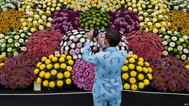 ایک اندازے کے مطابق پانچ دن تک جاری رہنے والے چیلسی فلاور شو کو دیکھنے کے لیے ایک لاکھ 65 ہزار افراد آئیں گے۔