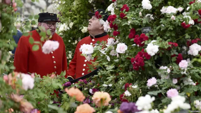 اس شو کا آغاز سنہ 1804 میں ہوا تھا اور یہ رائل چیلسی ہسپتال میں منعقد ہوتا ہے۔