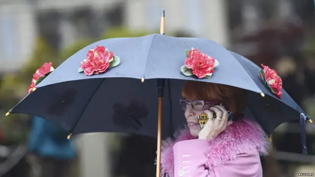 آر ایچ ایس چیلسی فلاور شو کے بارے میں مزید معلومات اس شو کی ویب سائٹ سے حاصل کی جا سکتی ہیں۔