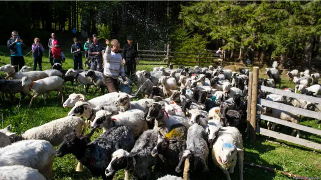 Максим Баландюх