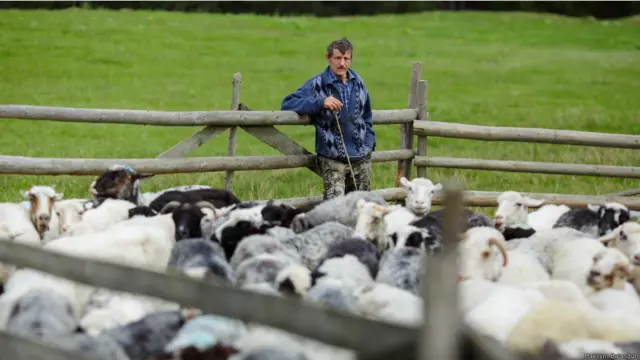 Максим Баландюх