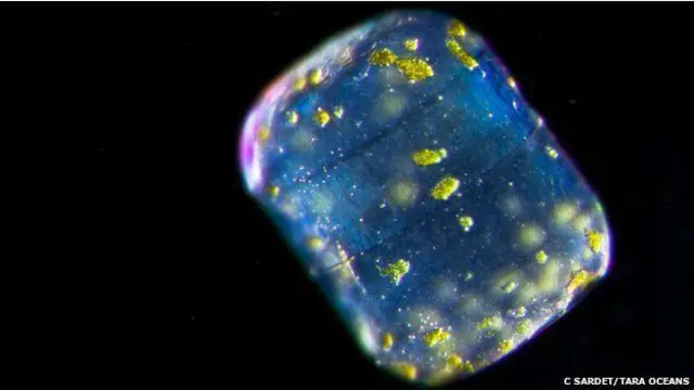 بہت سے اجسام درجہ حرات کے بارے میں بہت حساس ہیں