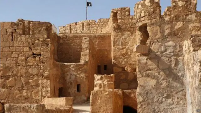 شامی حکام کے مطابق میوزیم کے زیادہ تر نوادرات کو شدت پسند تنظیم دولت اسلامیہ کے قبضے سے قبل ہی دمشق منتقل کر دیا گيا تھا