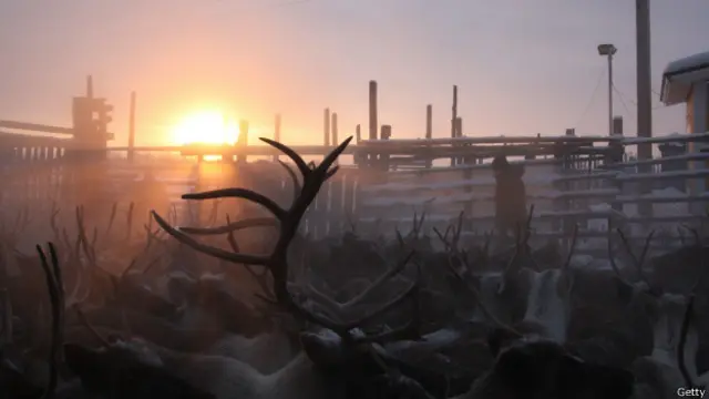 La región también cuenta con fauna de importante valor comercial.