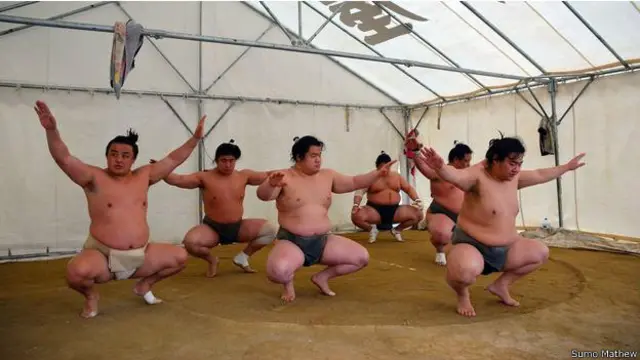 Sumo