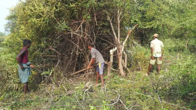 පුපුරණ ද්‍රව්‍ය සොයා ගනු ලැබීමෙන් පසු ජනතාව තම ඉඩම් එලි පෙහෙළි කිරීමට බියක් දක්වන බවයි පැවසෙන්නේ